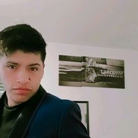 tradingnetworkmarketin