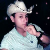 milton_ariel591