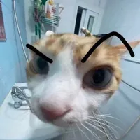 original sound - darpoedits