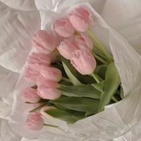 mylittleponyfanaccount