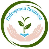 hidroponia_renascer