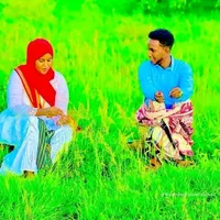 original sound - dheman.dhaanto