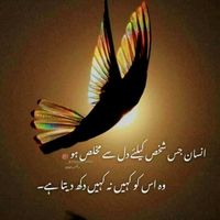 m.jawad.abbasi