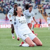 rmfem_info