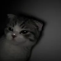 original sound - _sounds.4.youu