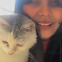 dicle_gezici