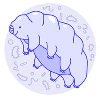 tardibabe