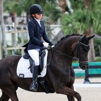 reginelli.dressage