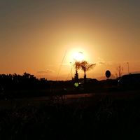 rauldasilva8639