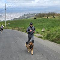 cefnaecuador_