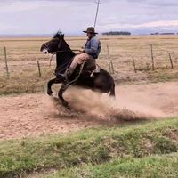 lucastuchtenhagen2782