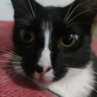 biamiller665