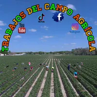 original sound - trabajosdelcampoagricola