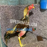 user090358008
