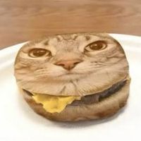cat.as.food