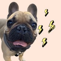 оригінальний звук