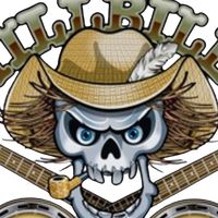 hillbillybonz1