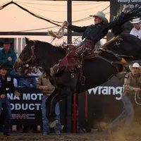 original sound - hardgrassbroncmatch