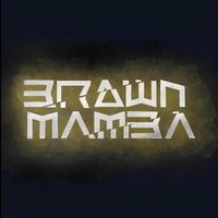 brownmamba1725