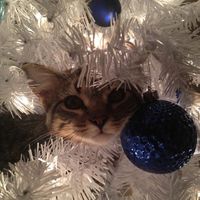 _nu.ar.det.jul.igen_