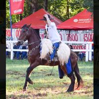 antoniocatupyryportillo