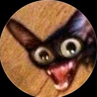Quem usar meu áudio eu vou curtir o vídeo