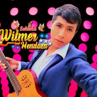 wilmermendozaasto