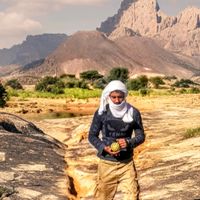 الصوت الأصلي