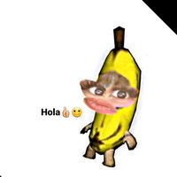 falc0ni_