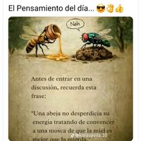 el.chichi667