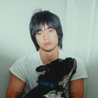 roccoyellow
