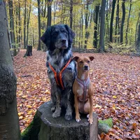 original sound - hope_milu