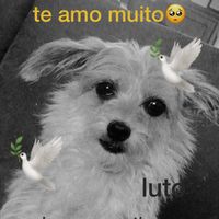 t0xic_lana1