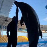 grynchenkosergey1440