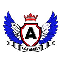 angels_acf