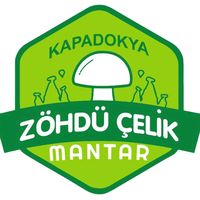 zohdu.celikmantar