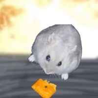 hamstertown
