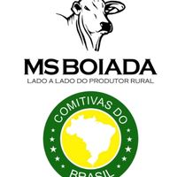 msboiadacomitivas1974