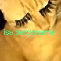 isa.perdon.que.sufro