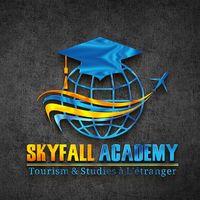 skyfal.academy