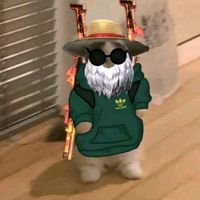 fabiangsus_ff5