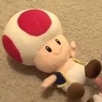 toadnerd