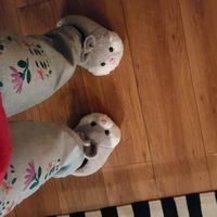 jumb_july_2