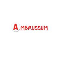 autoecole.ambrussum