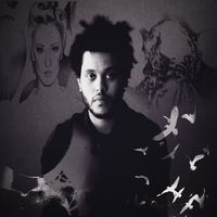 gotx0inmybloodwork.9