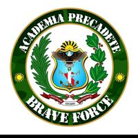 academiabraveforce