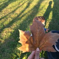 oumghaith_1