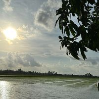 mientay_mienkyuc_87