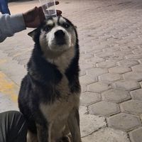 uservpiexrf00p