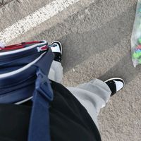 _palomo_03